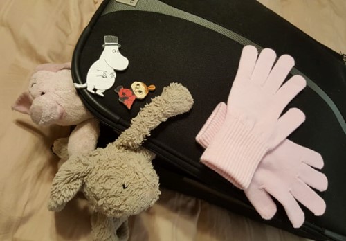 Suitcase with gloves and stuffed animals