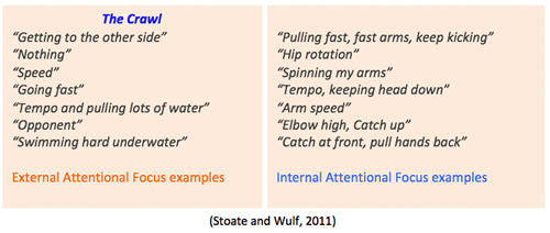Focus cue examples for swimmers
