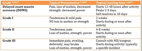 Table of muscle strain grades