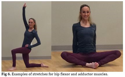 Stretches for hip flexor and adductor muscles