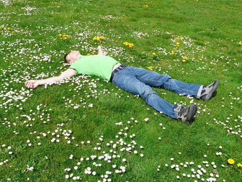 A man laying in a field of grass and daisies
