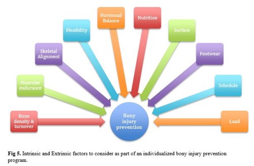 Factors in bony injury prevention